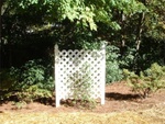 Yard Work 11