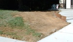 Yard Work 17