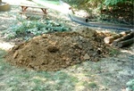 Yard Work 33