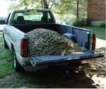 Yard Work 35