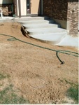 Yard Work 37