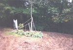 Yard Work 44