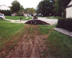 Yard Work 46