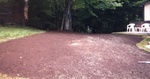 Yard Work 49