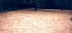 Yard Work 55