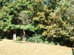 Yard Work 57