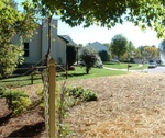 Yard Work 58