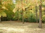 Yard Work 60