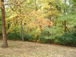 Yard Work 61