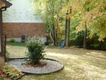 Yard Work 62