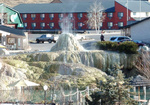 Springs Fever 50