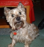 Christmas 2005 25