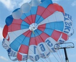Snow Birds 091
