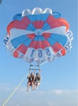 Snow Birds 094