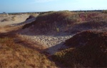 Ventura 15