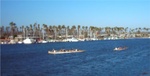 Ventura 16