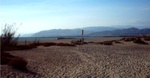 Ventura 17