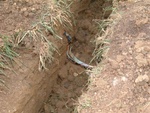 Trenching 06
