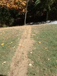 Trenching 12