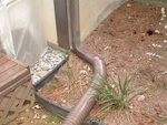 Trenching 13