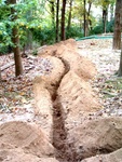 Trenching 36