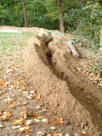 Trenching 38