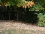 Trenching 39