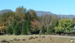 Lake Lure 11
