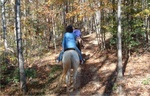 Lake Lure 32