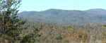 Lake Lure 36