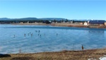 Pagosa 55