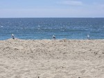 Laguna Spring 14