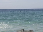 Laguna Spring 18