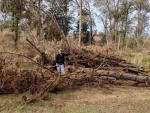 Piled