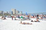 Spring Break 2 13