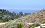 Laguna Beach 011