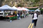 Laguna Beach 038