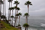 Laguna Beach 050