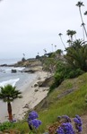 Laguna Beach 051