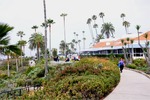 Laguna Beach 054