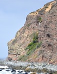 Laguna Beach 091