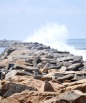 Laguna Beach 092