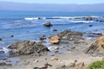 CA Coast 009