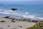 CA Coast 010