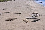 CA Coast 011
