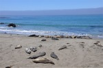 CA Coast 013