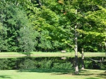 Robertson Estate