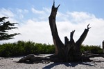 CA Coast 036