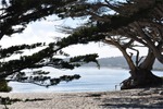 CA Coast 040