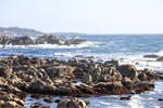 CA Coast 042